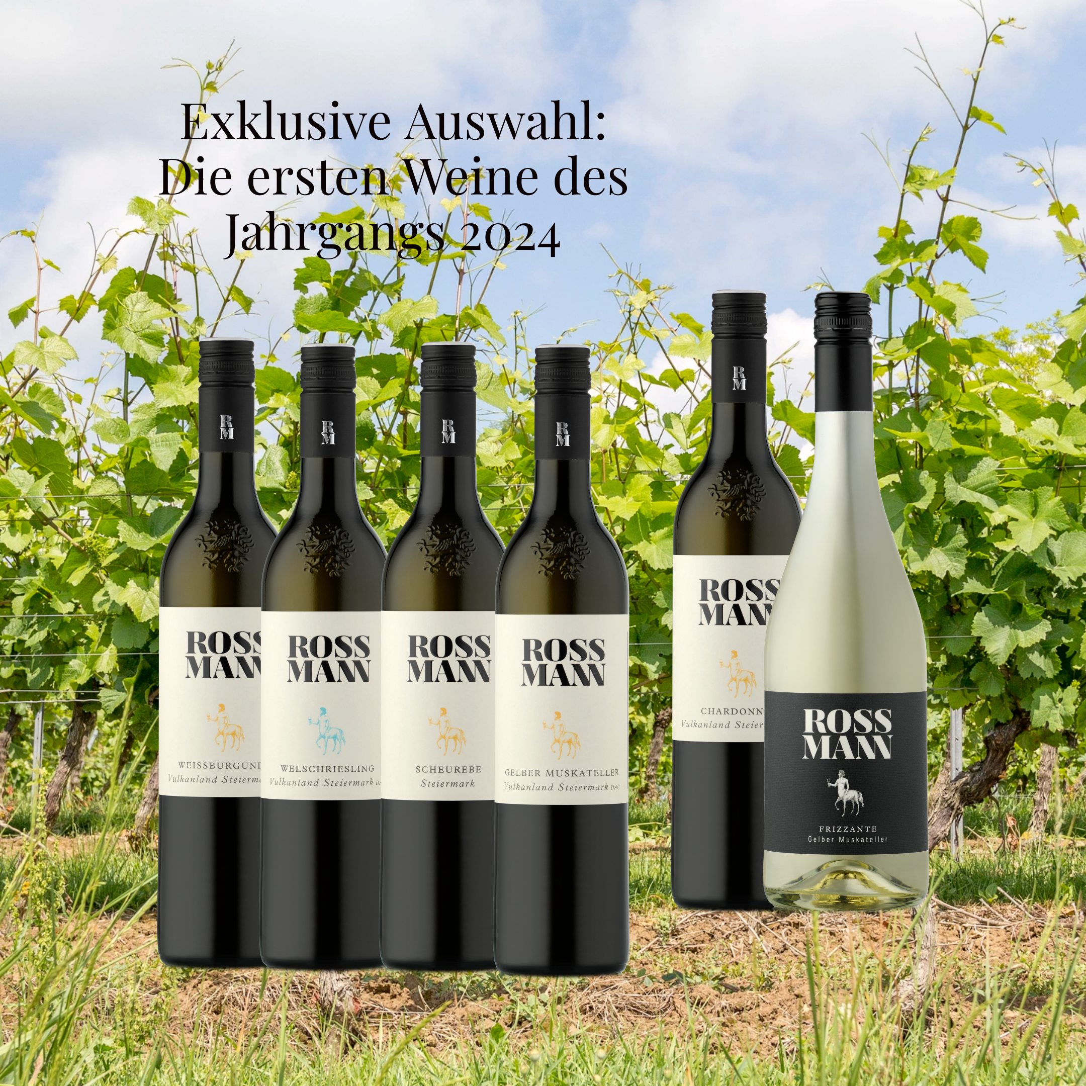 Erstes Weinerlebnis Jahrgang 2024